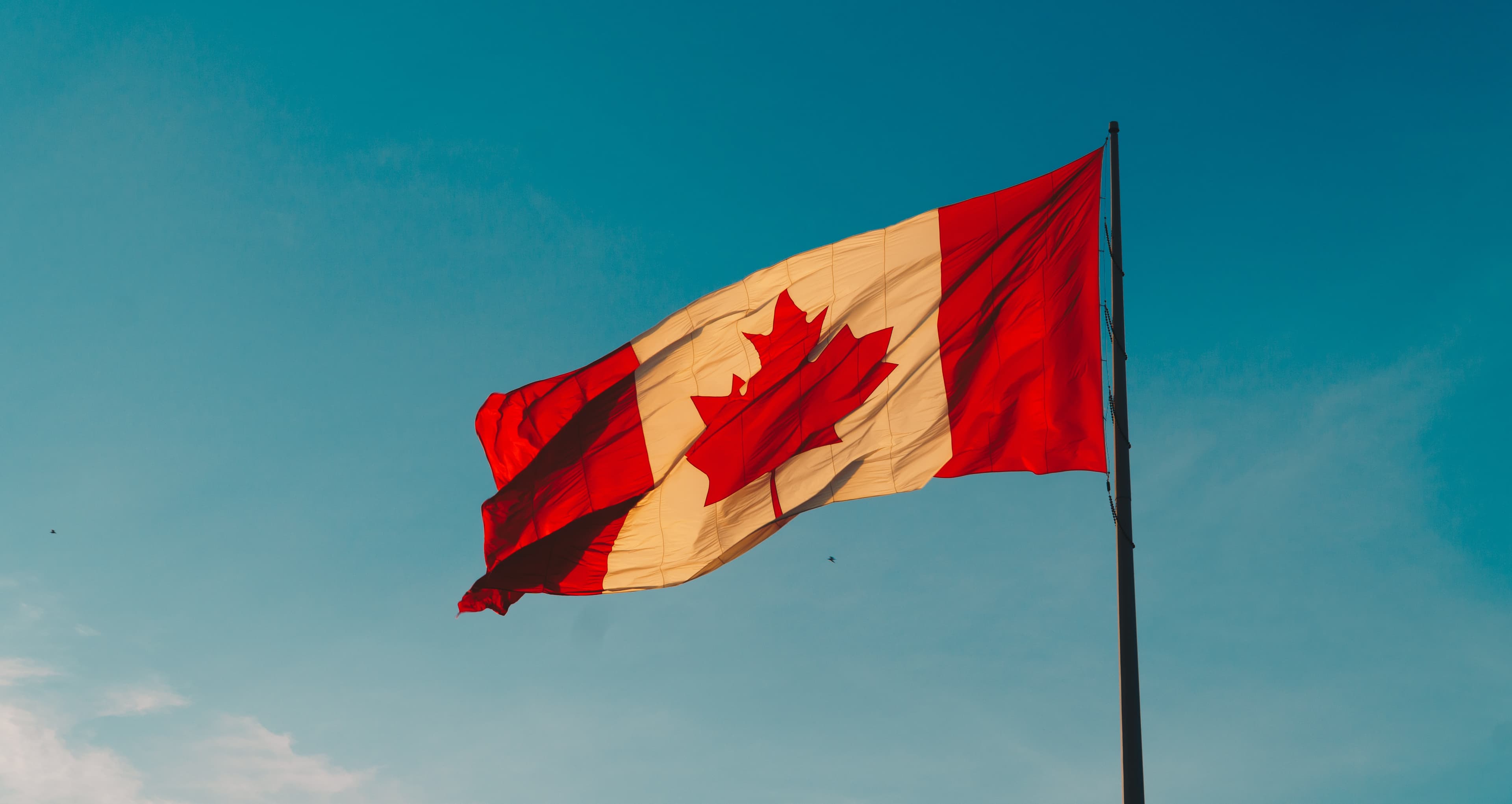 Canadian flag in a city setting